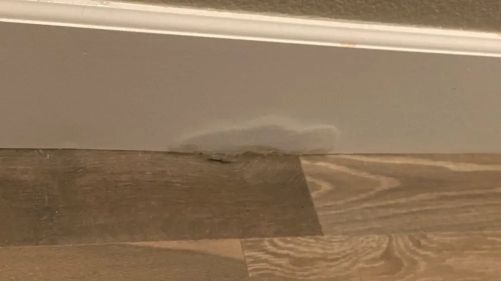 Quality water heater service service in Placerville, CA - Upton Family Leak Detection