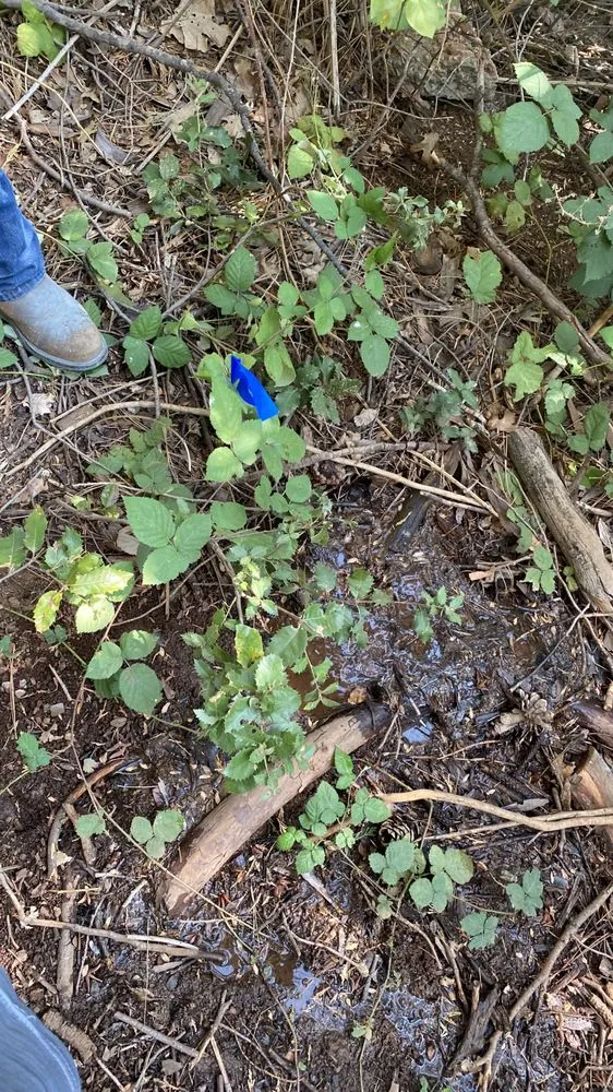 Slide of Upton Family Leak Detection