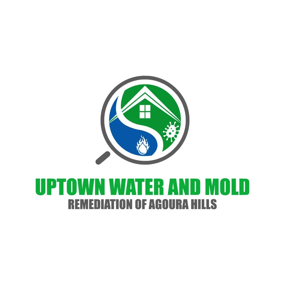 Slide of Uptown Water and Mold