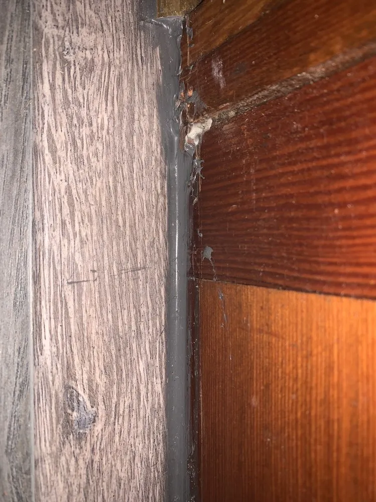 Slide of Uptown Water and Mold