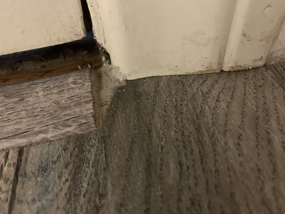 Slide of Uptown Water and Mold