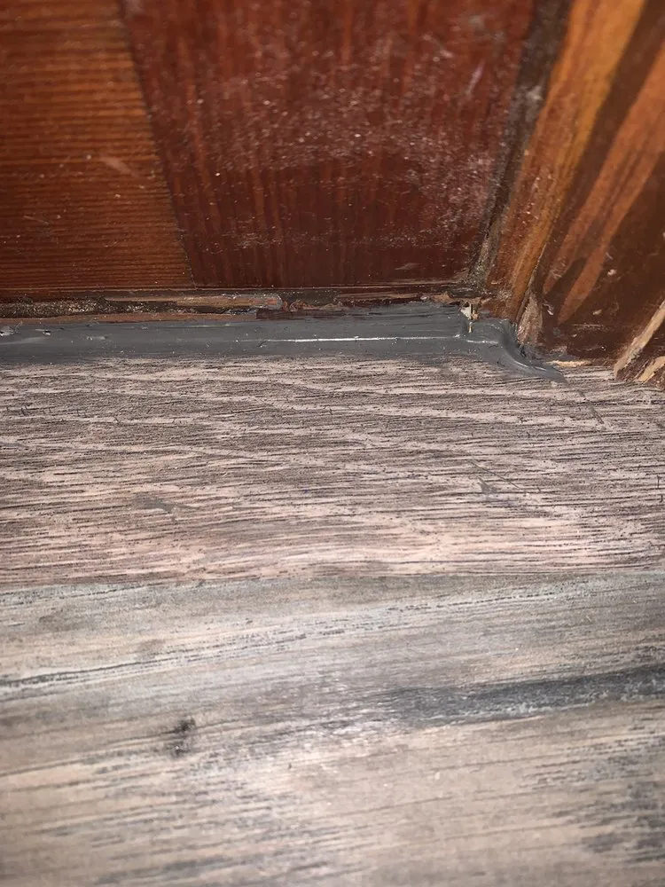 Slide of Uptown Water and Mold