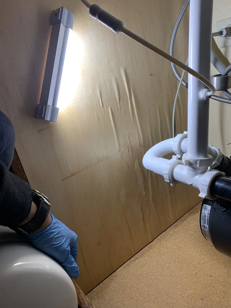 Slide of Uptown Water and Mold