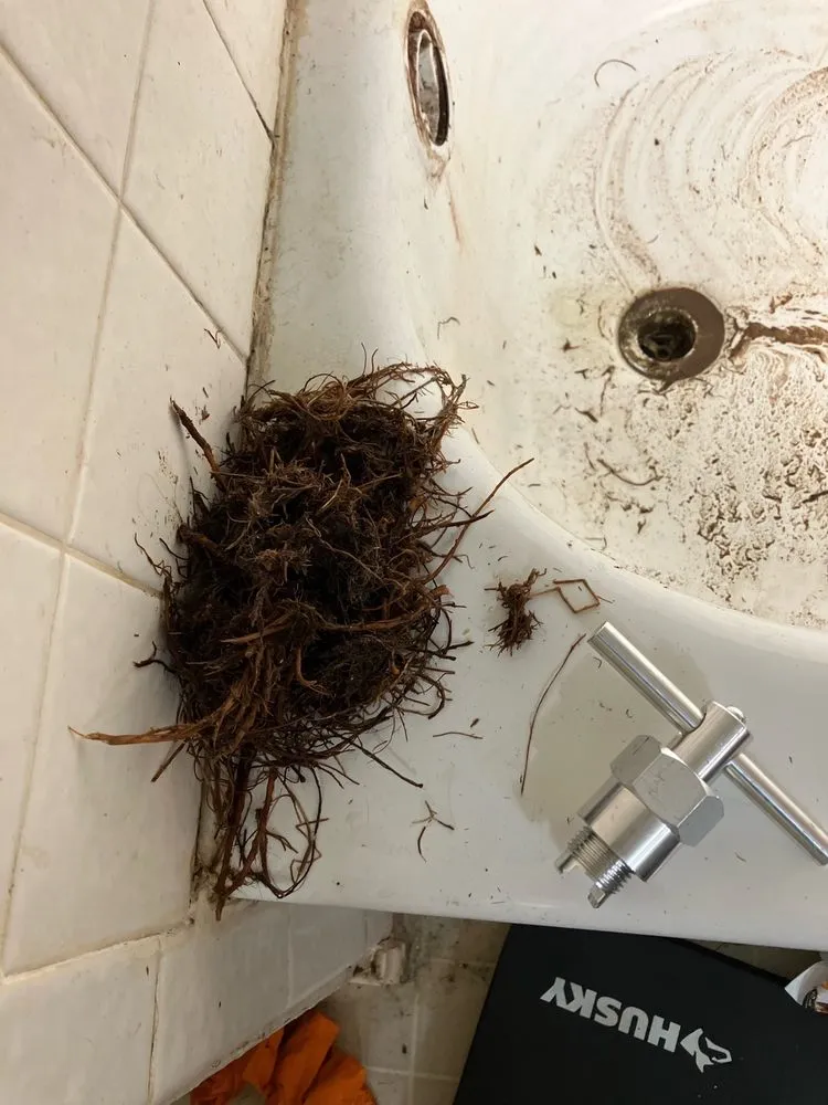 Slide of Urgent Care Plumbing