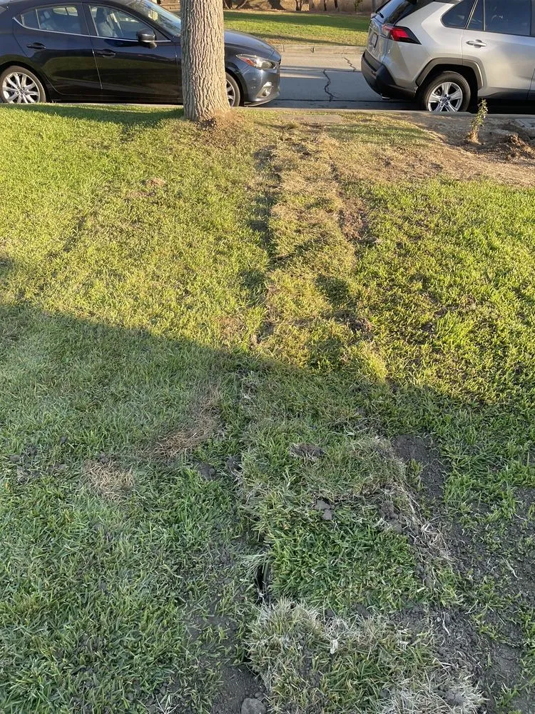 Slide of Urgent LA Plumbing