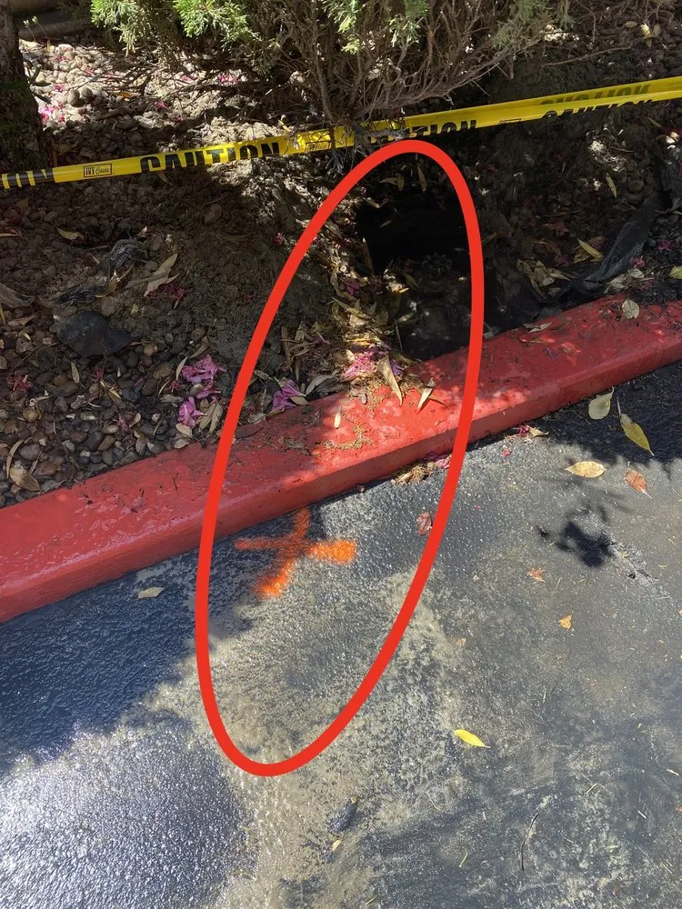 Slide of USA Leak Detector