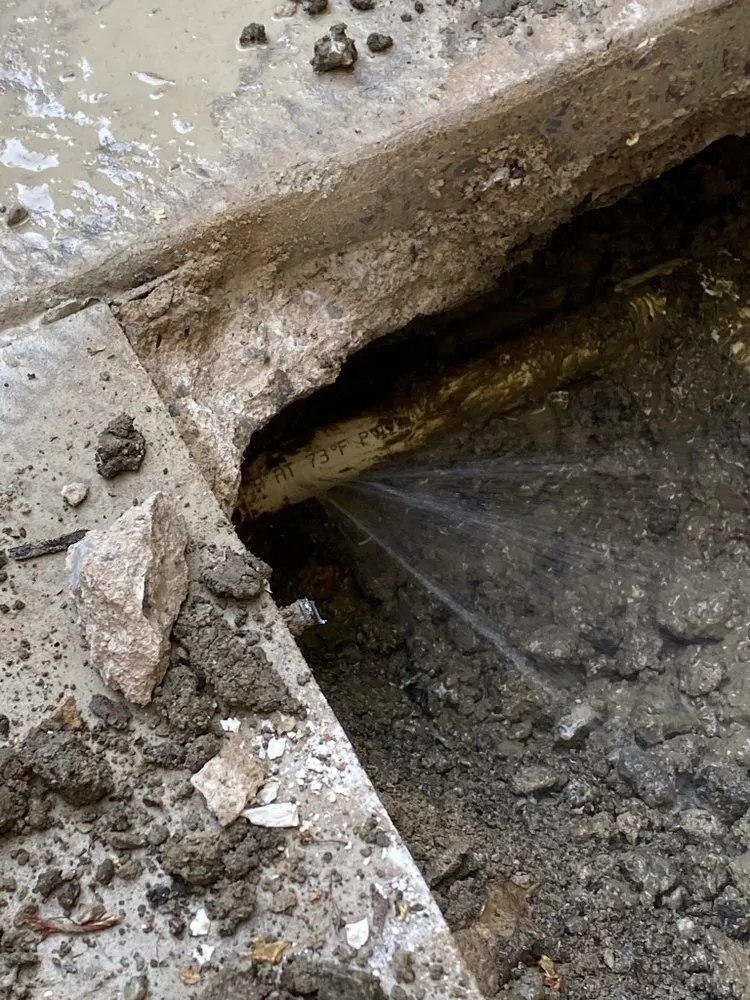 Slide of USA Leak Detectors