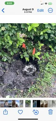 USA Leak Detectors Logo