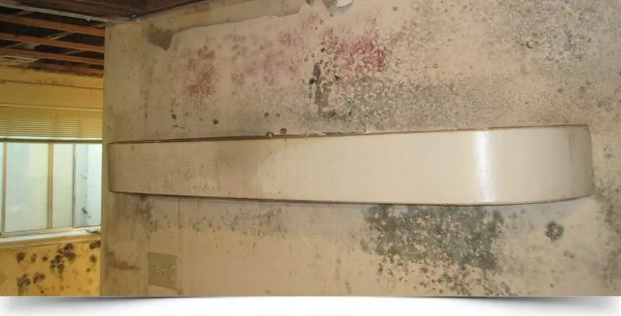 Expert plumbing repair experts serving Syracuse, UT - Utah Flood Cleanup