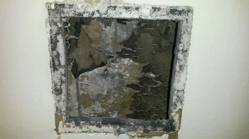 Quality emergency plumbing service in Syracuse, UT - Utah Flood Cleanup