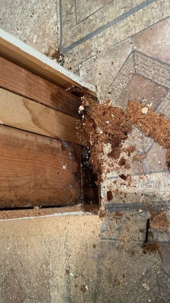 Expert plumbing repair service in Syracuse, UT - Utah Flood Cleanup