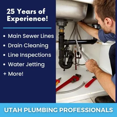 Utah Plumbing Professionals Logo