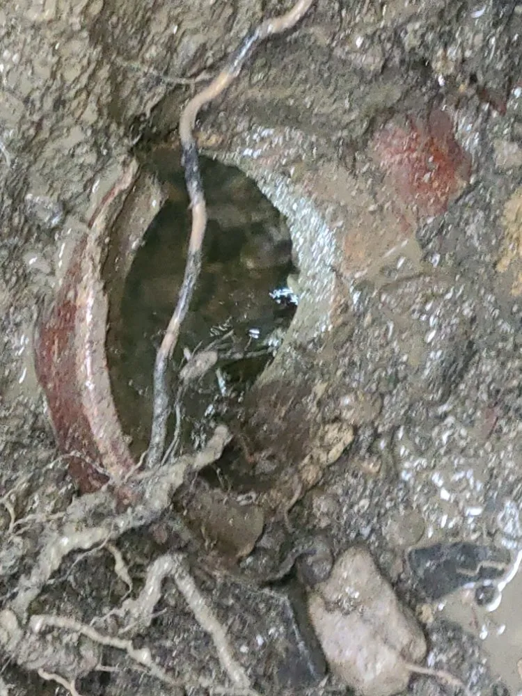 Slide of Utility and Septic Solutions