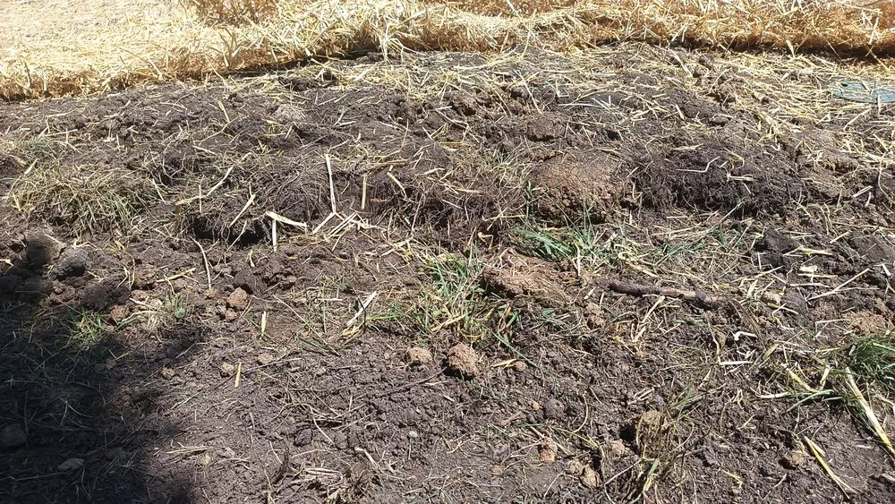 Slide of Utility Trenching