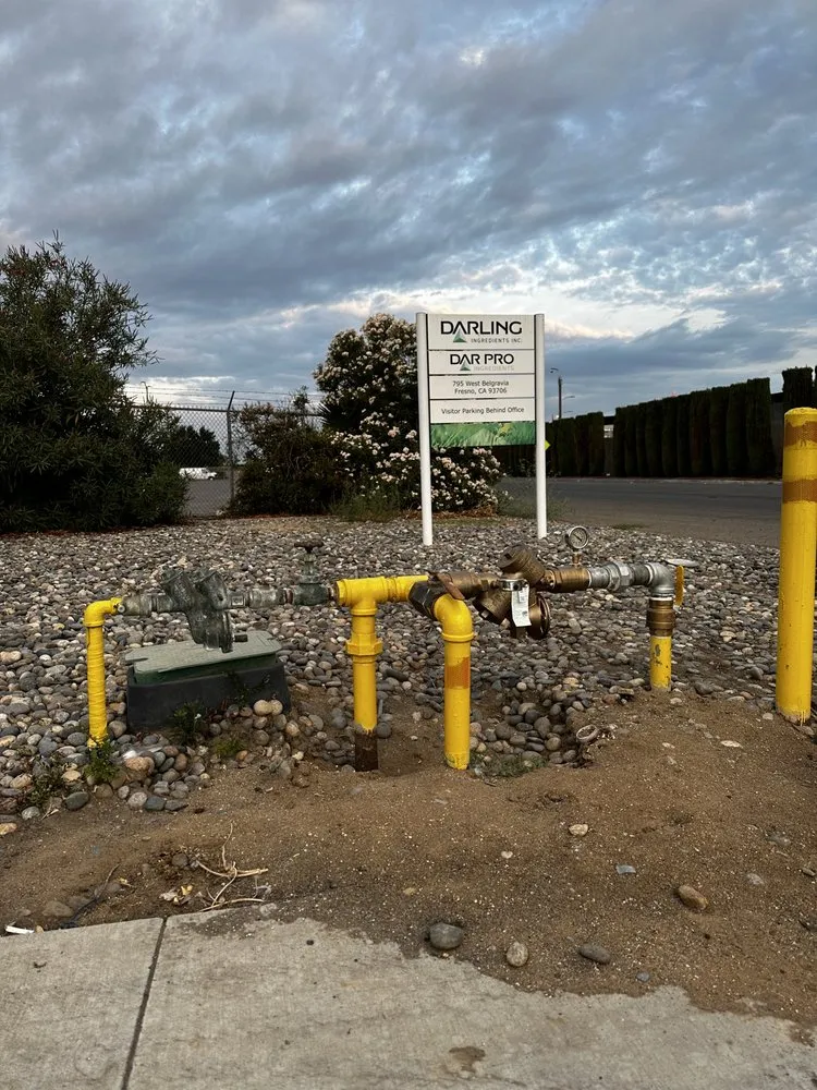 Slide of Valley Blackflow