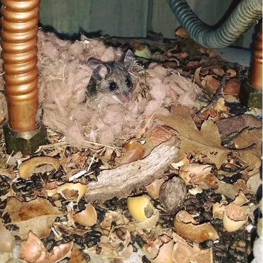 Affordable leak detection in Sonoma, CA by Valley of the Moon Plumbing