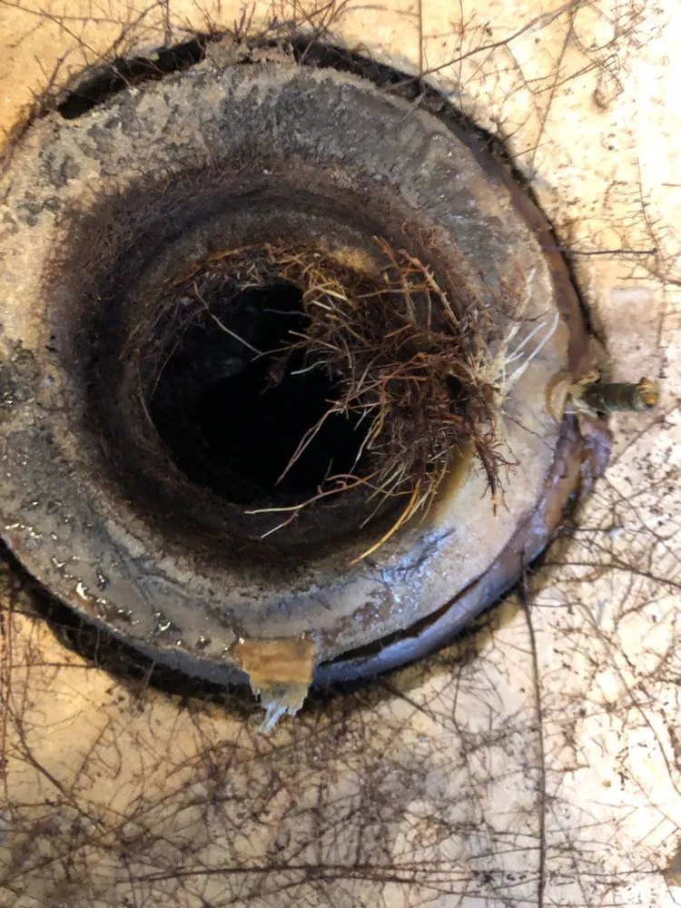 Slide of Valley Rooter