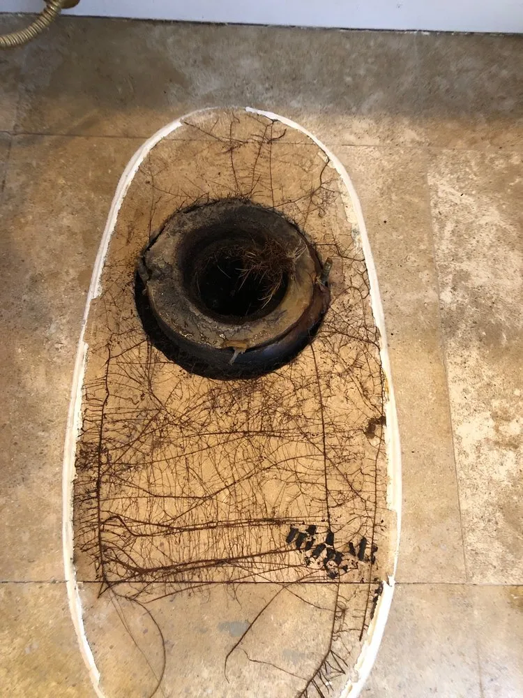 Slide of Valley Rooter