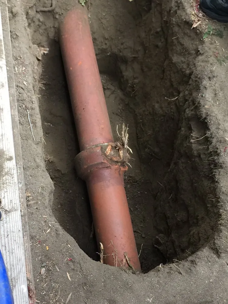 Slide of Valley Rooter