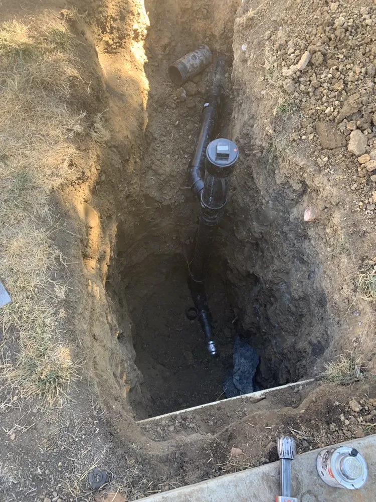 Slide of Valley Rooter