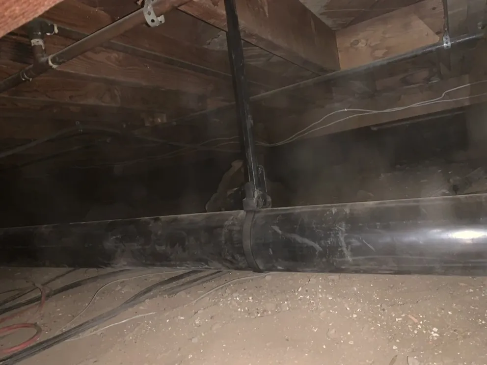 Slide of Valley Rooter