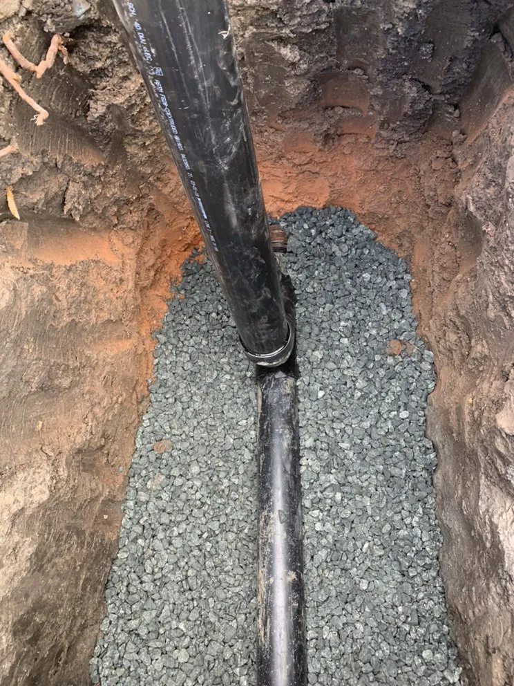 Slide of Valley Rooter