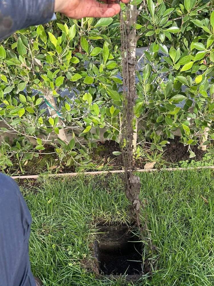 Quality emergency plumbing experts serving Moorpark, CA - valley united plumbing, inc