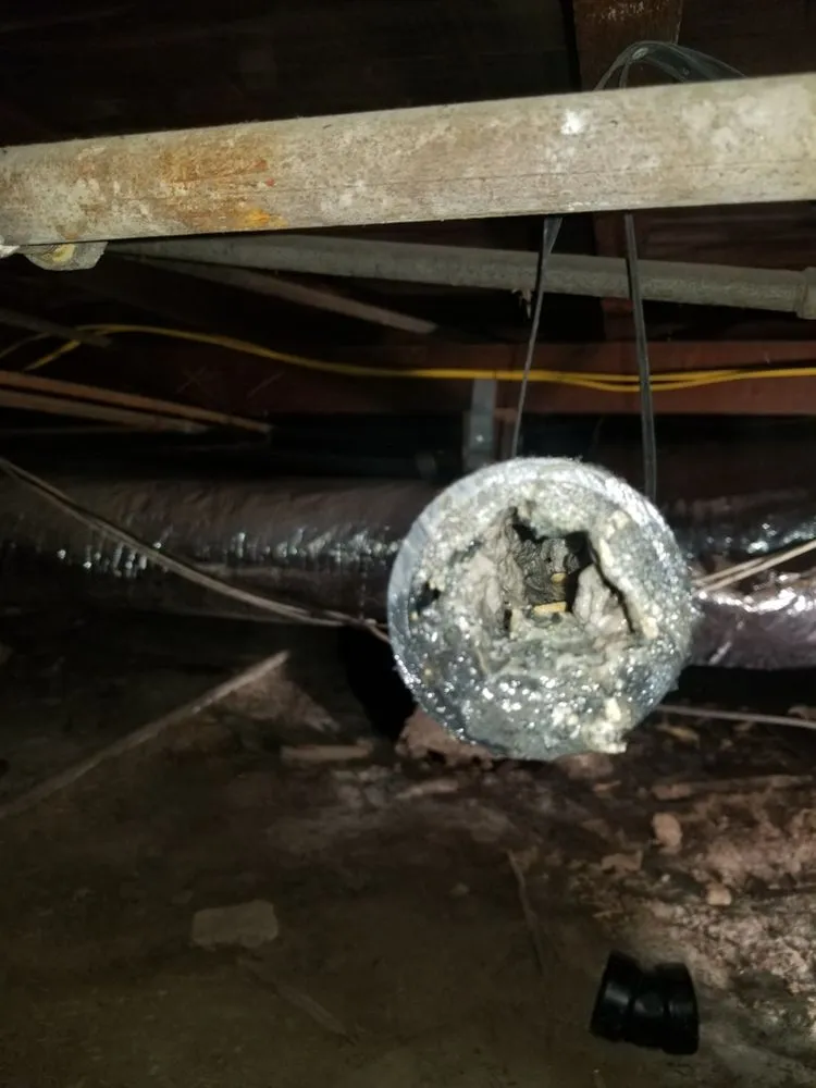 Quality plumbing repair experts serving Los Angeles, CA - Valor Plumbing