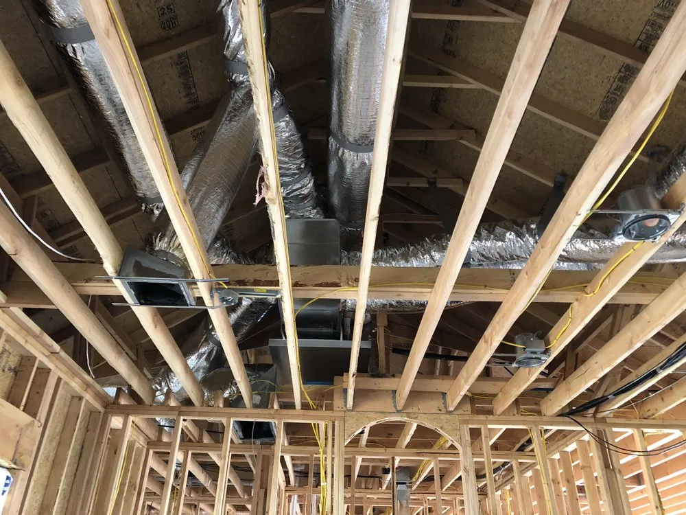 Slide of Van Dyck Mechanical