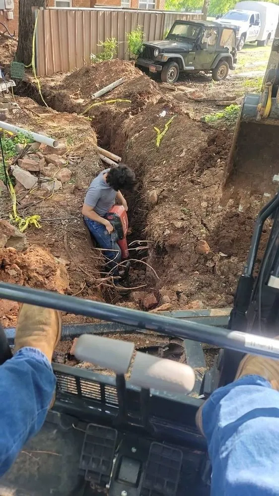 Slide of Van Dyck Mechanical