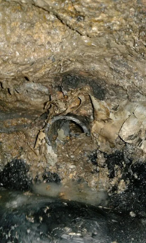 Slide of VanGo Rooter