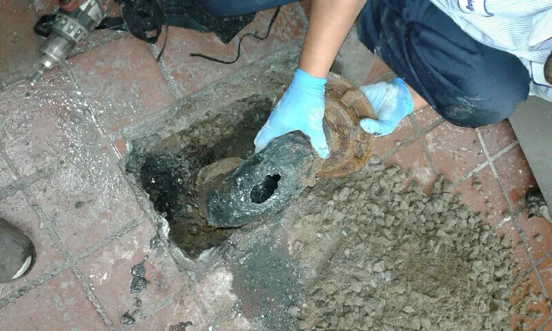 Slide of VanGo Rooter