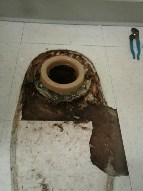 Slide of VanGo Rooter