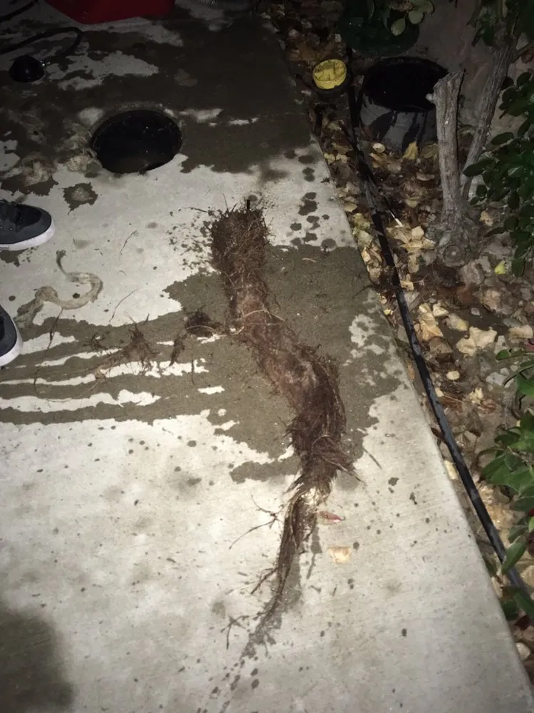 Slide of VanGo Rooter