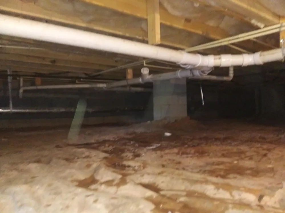 Emergency drain cleaning service in Newnan, GA - Vaughn Septic Solution and Plumbing Repair
