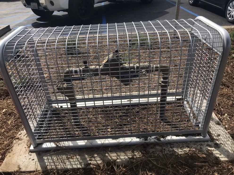 Slide of VC Backflow