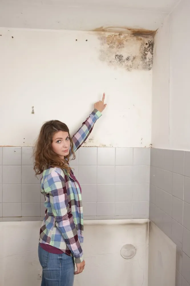 Slide of VCG Plumbers