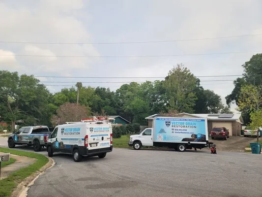 Vector Drain Restoration