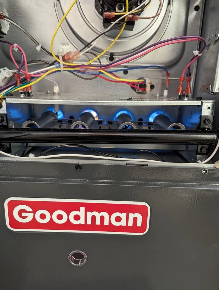 Slide of Vector Services