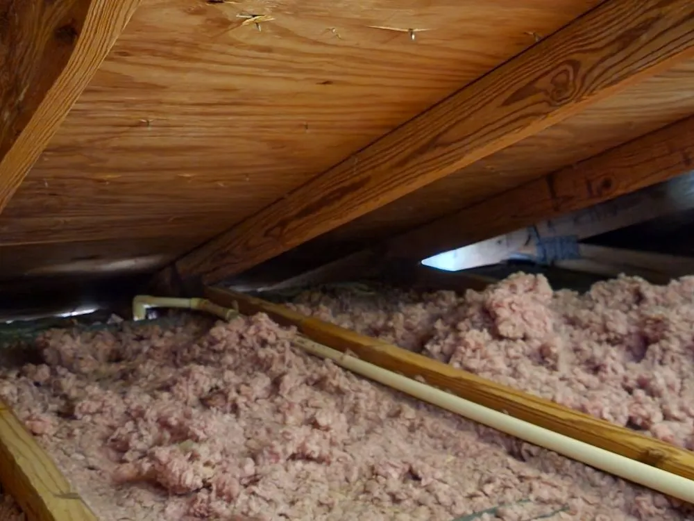 Slide of Vega Fix Solutions