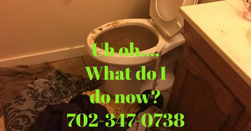 Slide of Vegas Drain Masters