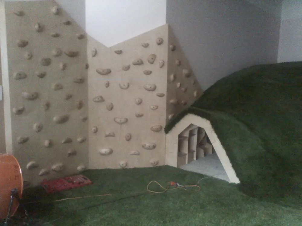 Slide of Veggie Powered Handyman