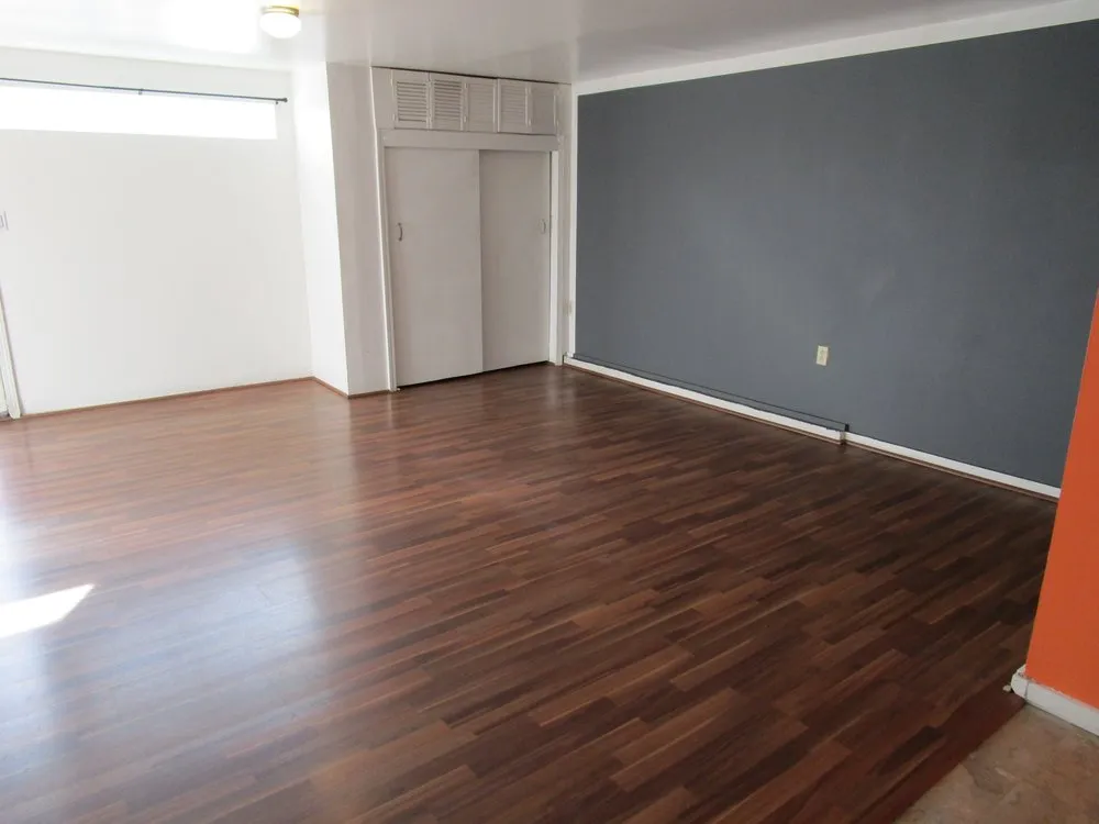 Slide of Veggie Powered Handyman