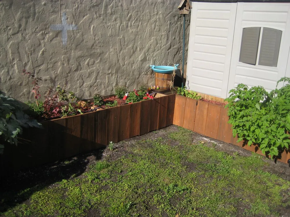 Slide of Veggie Powered Handyman