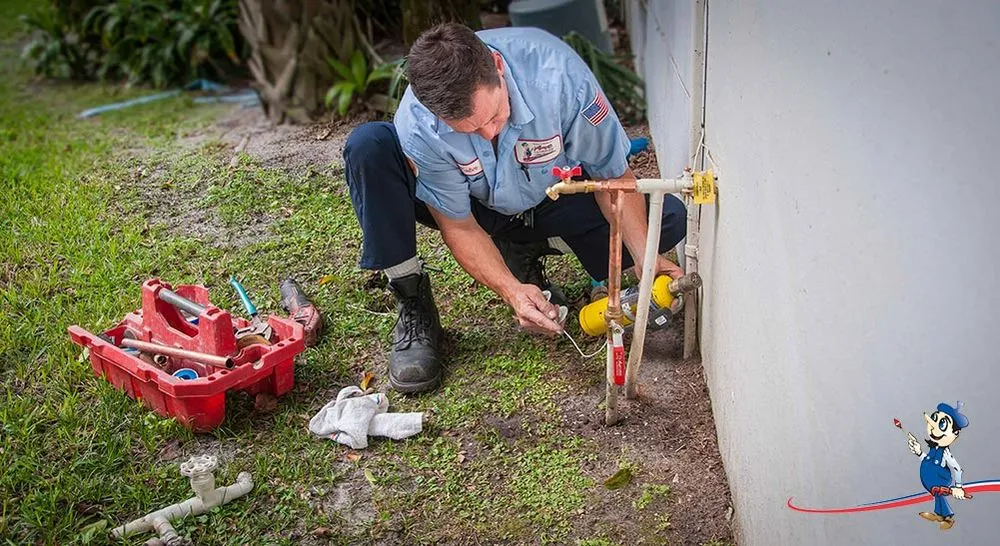 Slide of Velvet Plumbing