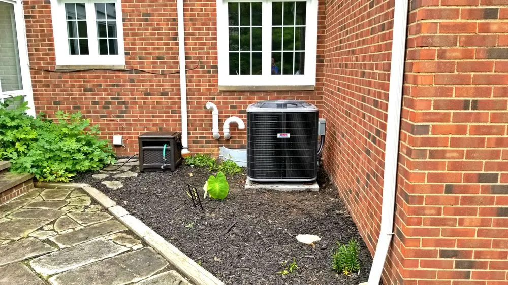 Slide of Verne & Ellsworth Hann