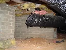 Slide of Verrazano Plumbing