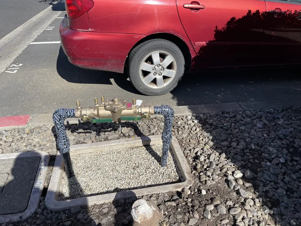 Slide of Vertex plumbing