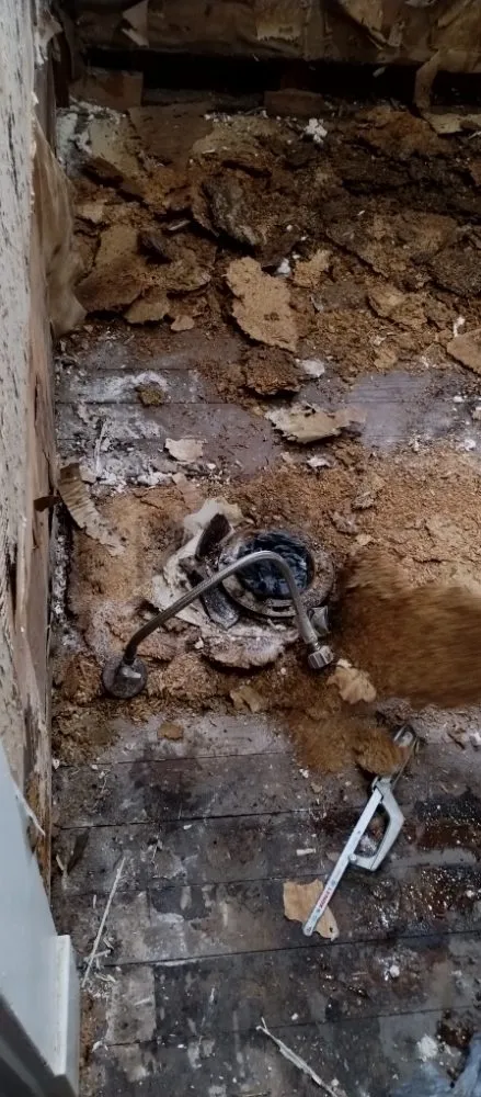 Top-rated emergency plumbing in Booneville, AR by Vessel Paint & Home Repair