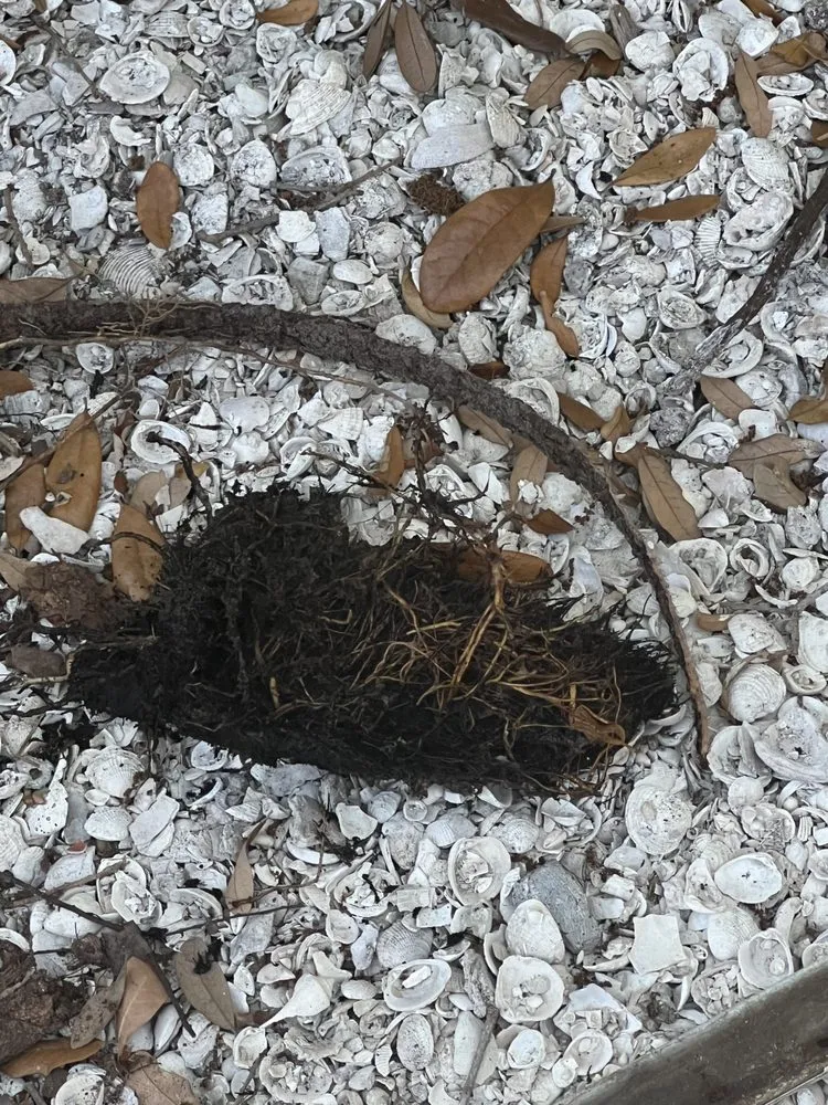 Slide of Veteran Air